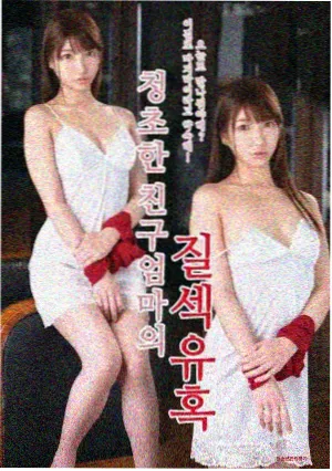 女机械人：边境 条目海报